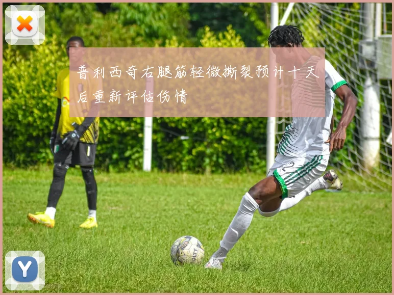 普利西奇右腿筋轻微撕裂预计十天后重新评估伤情